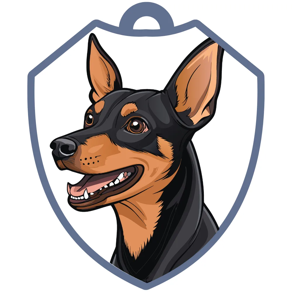 Pinscher miniatura