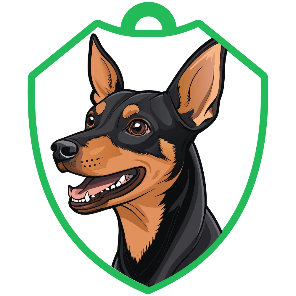 Pinscher miniatura