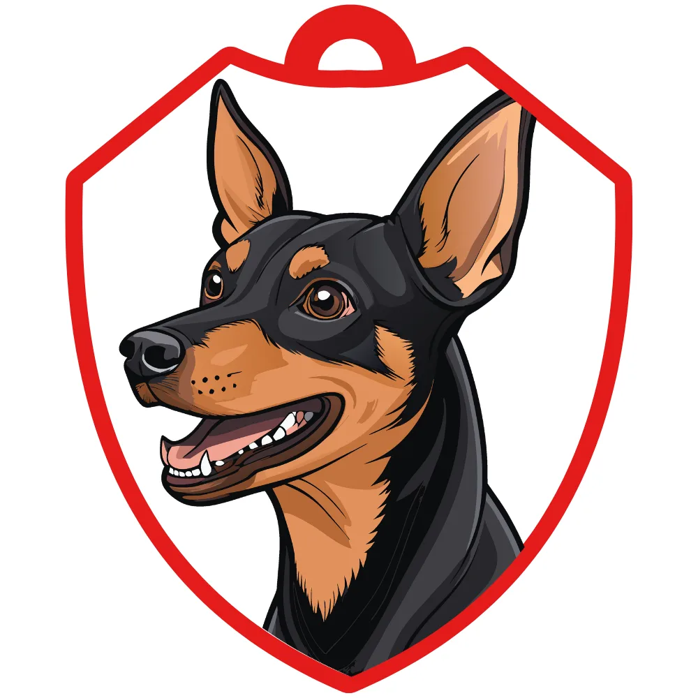 Pinscher miniatura