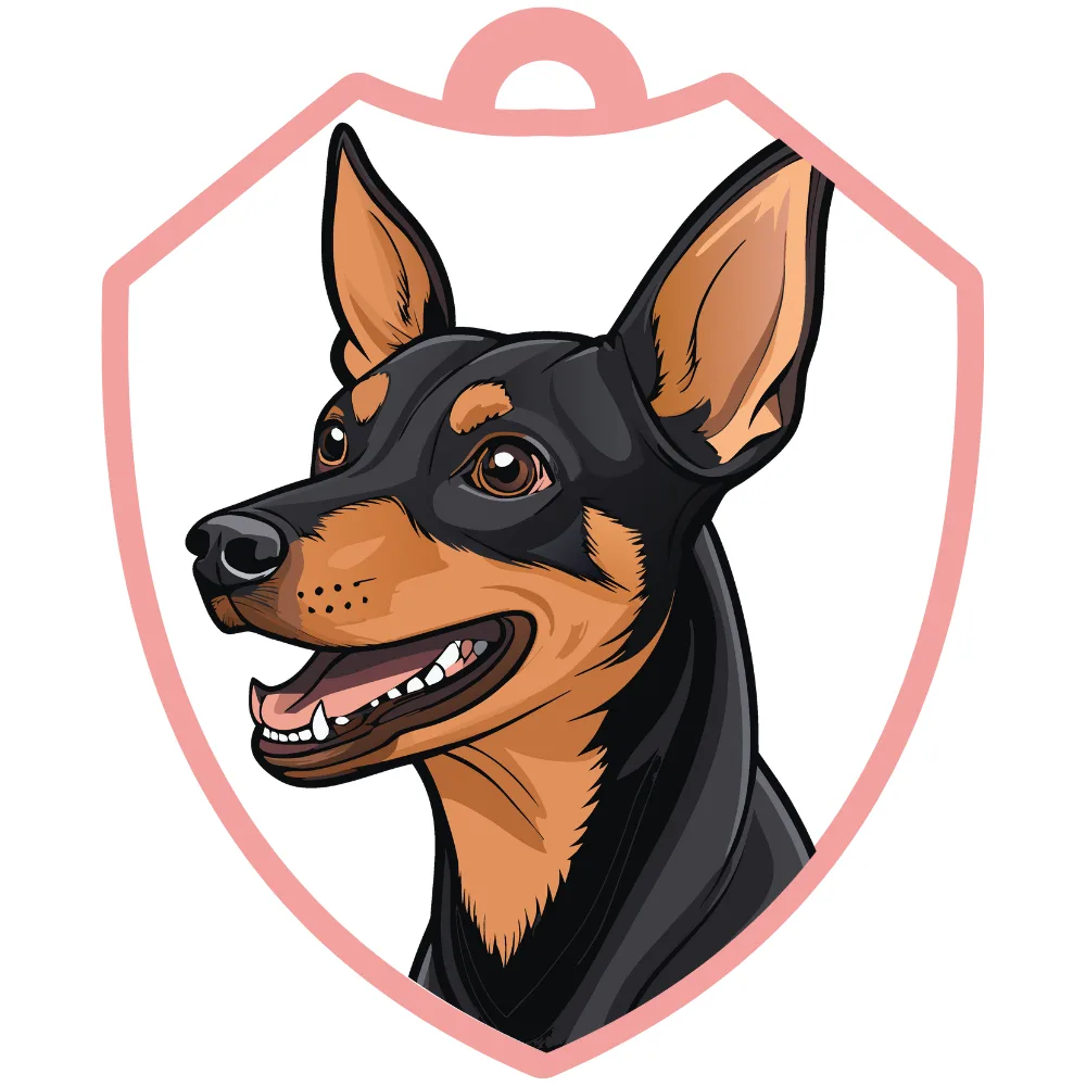 Pinscher miniatura
