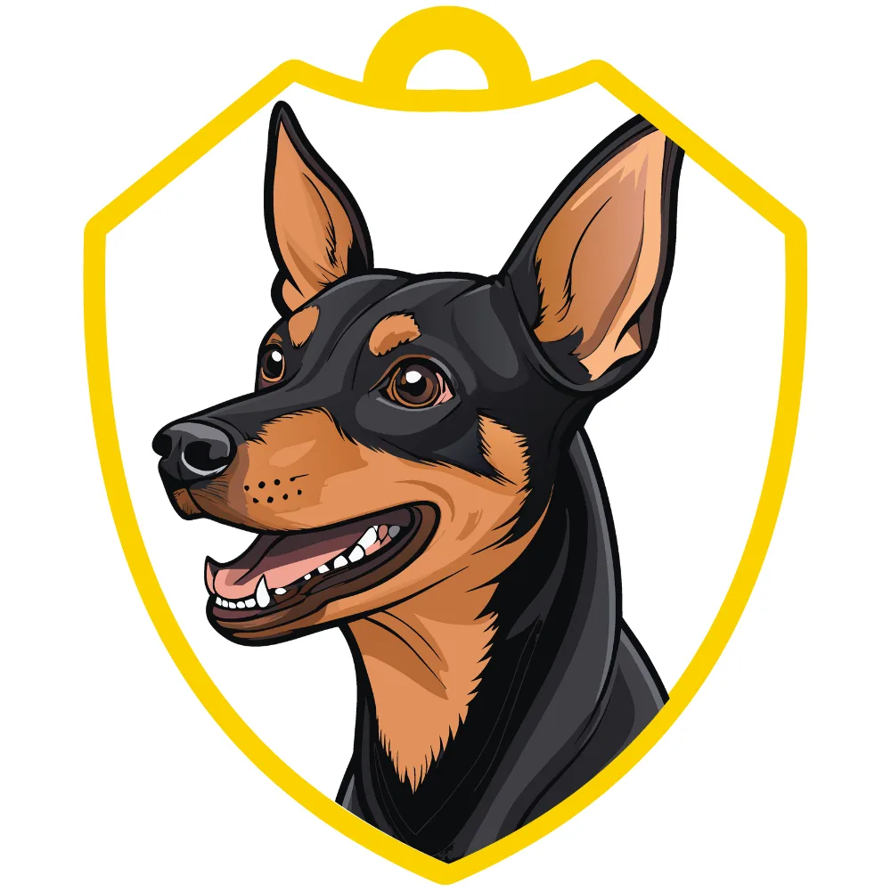 Pinscher miniatura