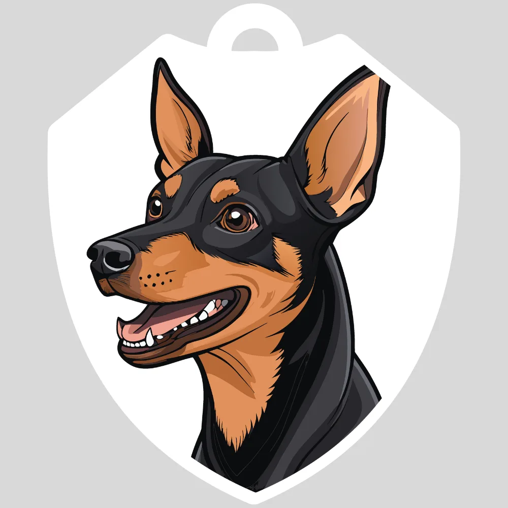 Pinscher miniatura