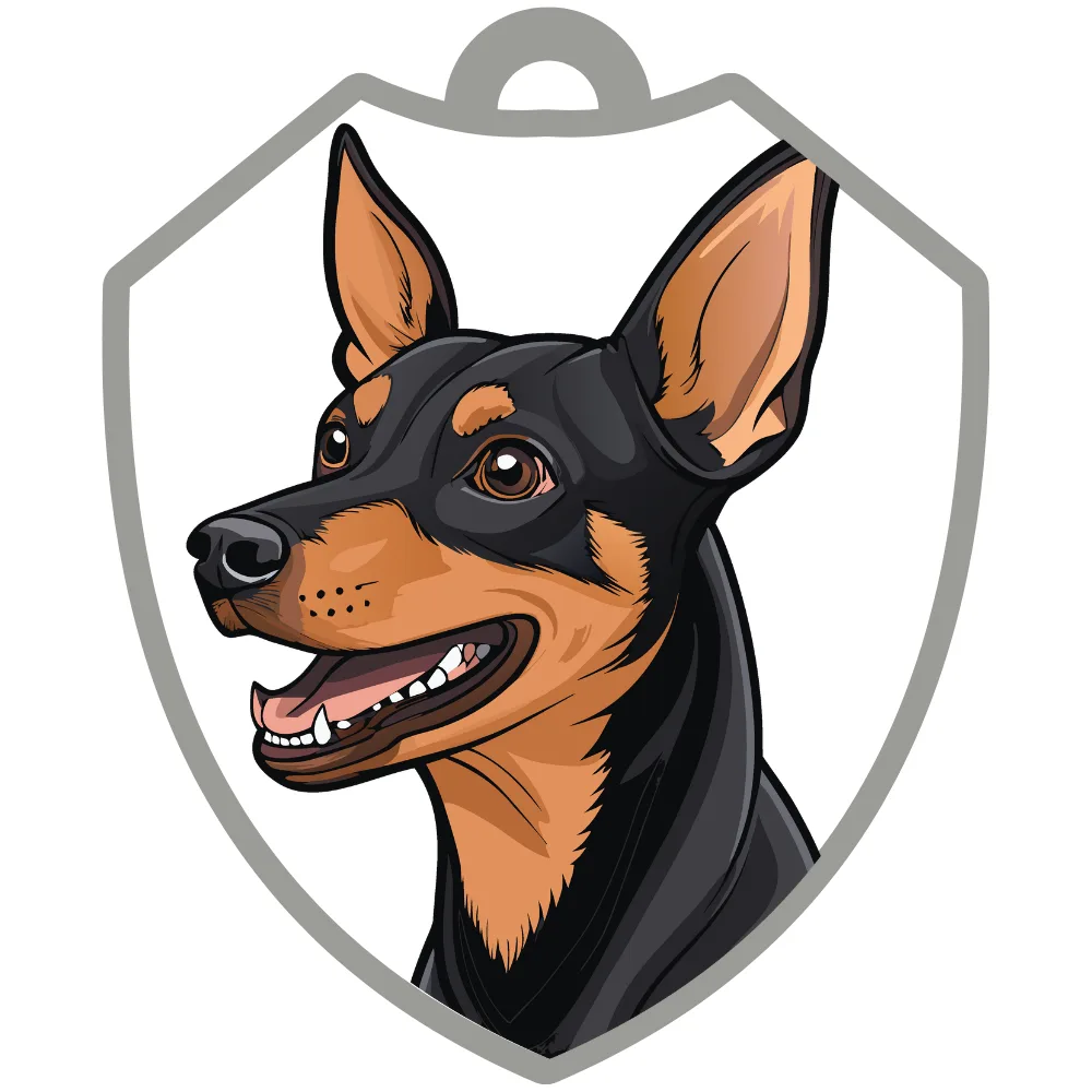 Pinscher miniatura