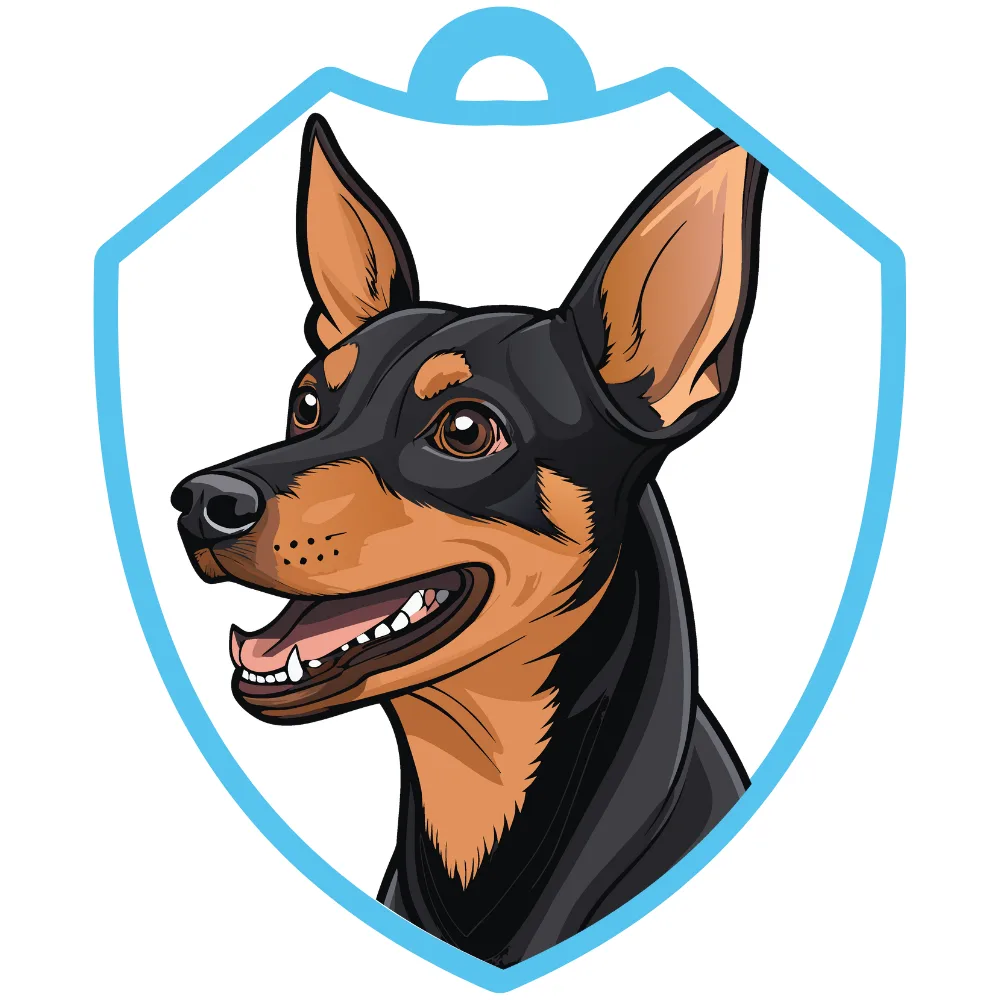 Pinscher miniatura