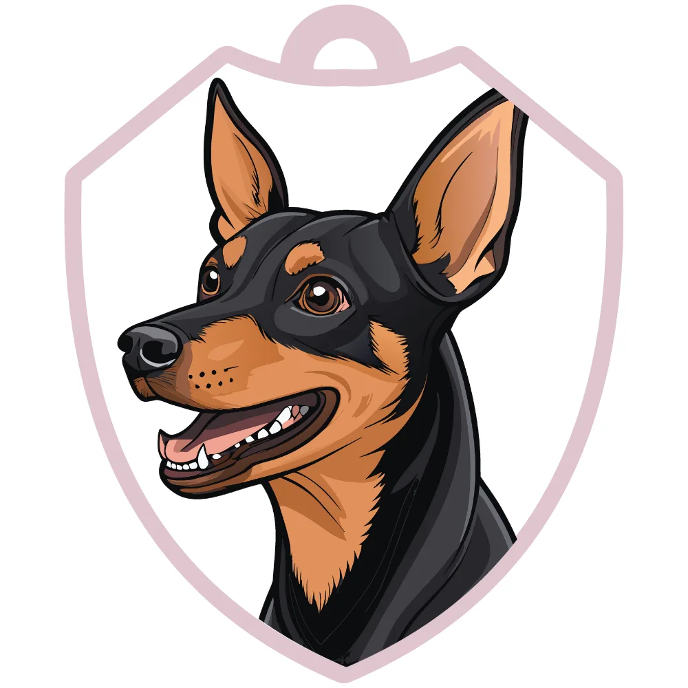 Pinscher miniatura
