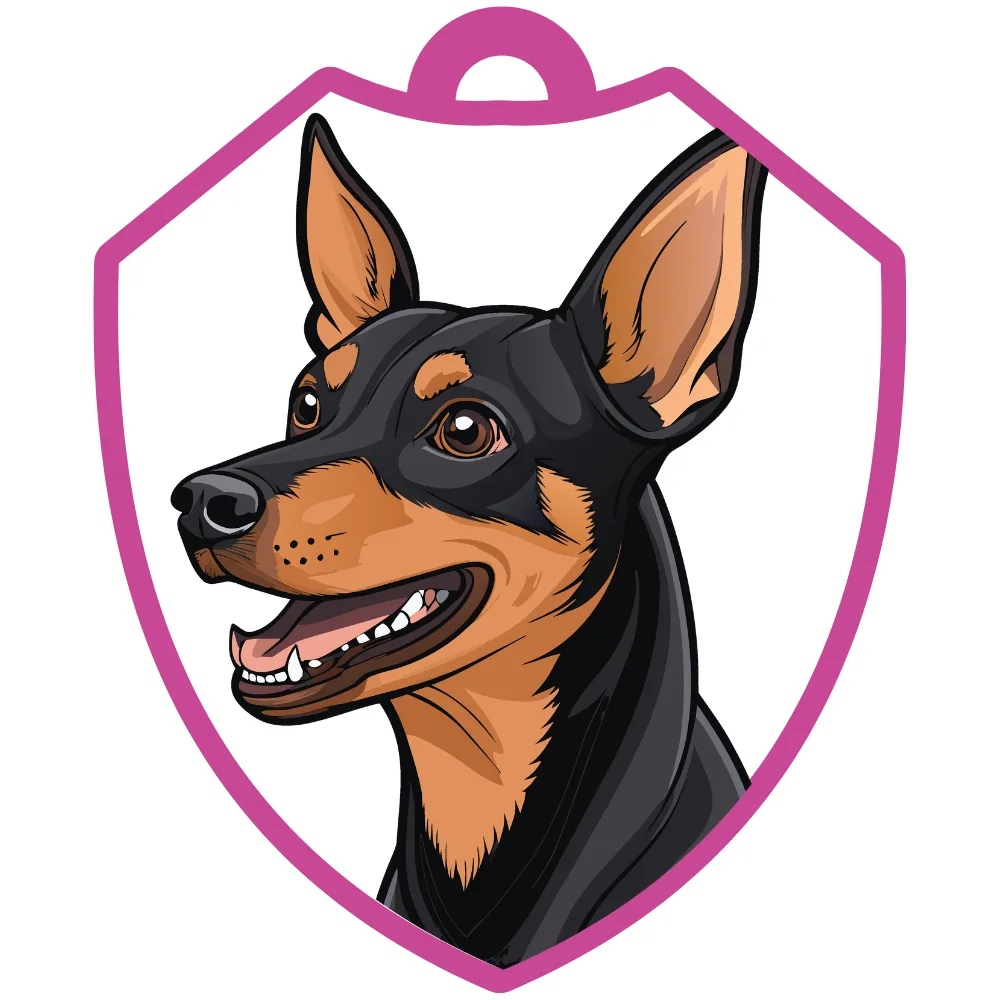 Pinscher miniatura
